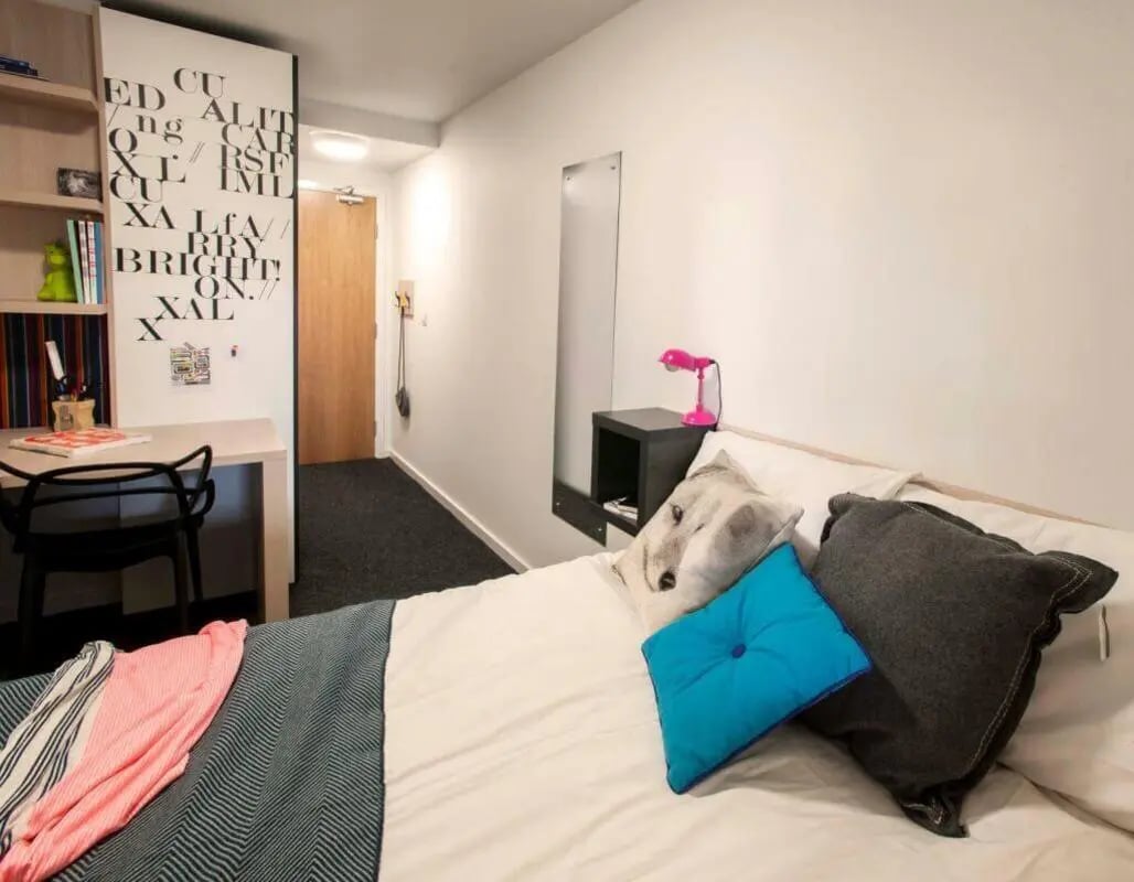 Desk chair bookshelf and bed bedroom at The View - Newcastle in Newcastle Upon Tyne Student Accommodation
