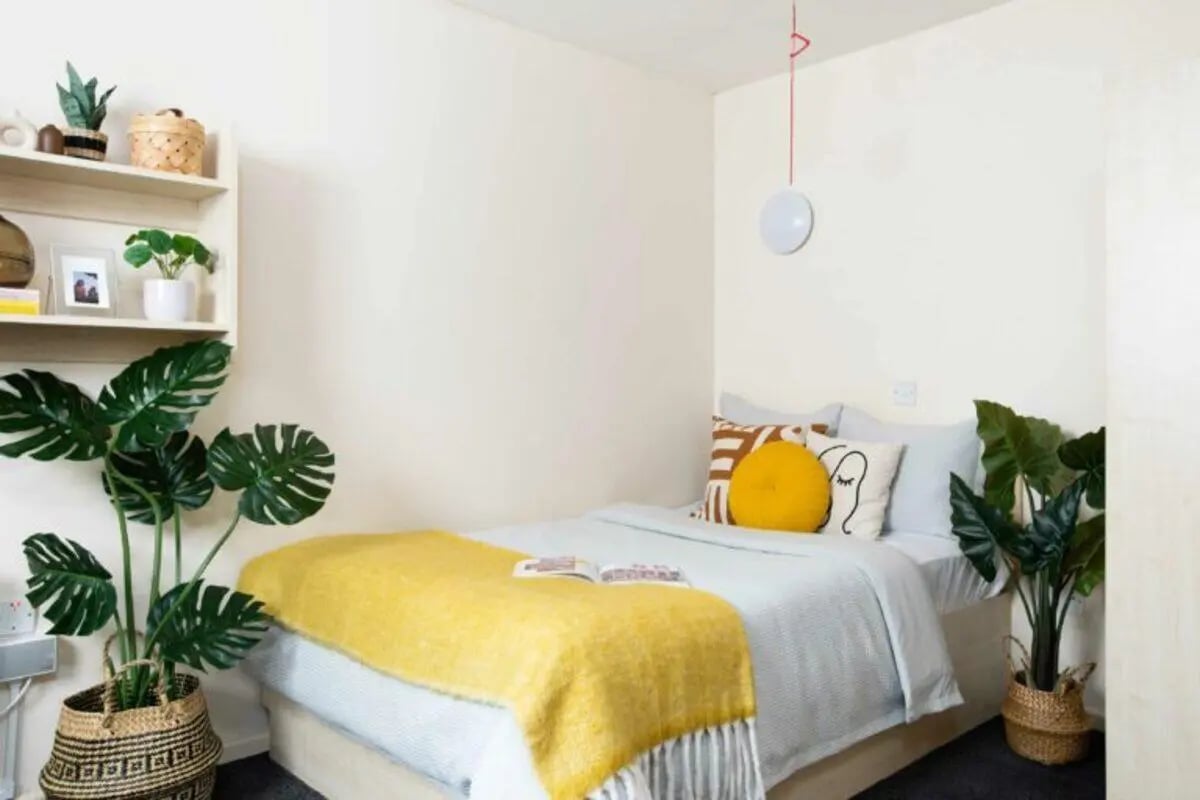 Bed with yellow blanket pillows and plants bedroom at North Court in Cardiff Student Accommodation