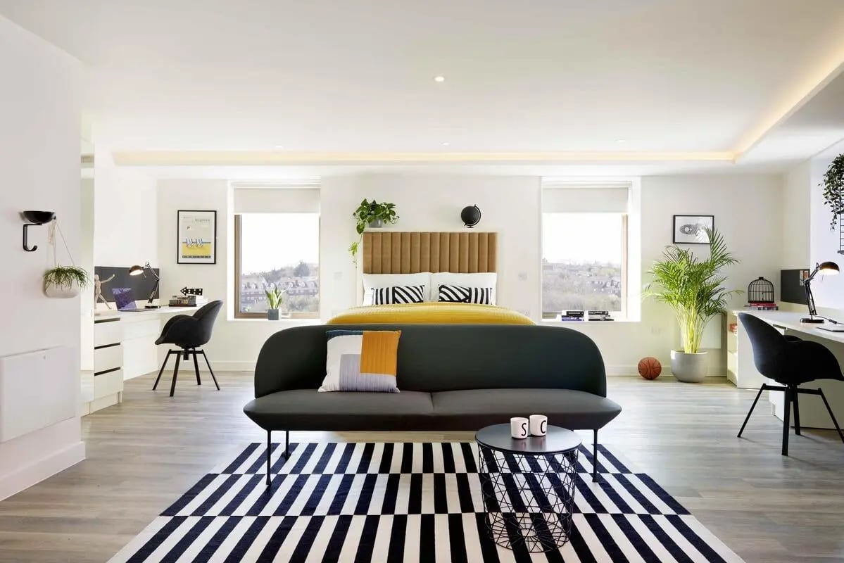 Bed couch desks plants and rug studio apartment at Student Castle Brighton in Brighton Student Accommodation