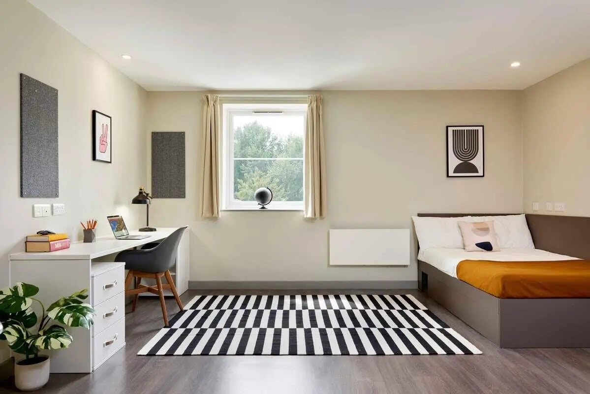Desk bed window plant and rug bedroom at Saw Mill in Huddersfield Student Accommodation