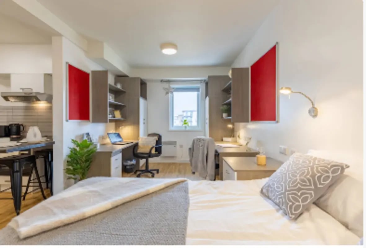 Bed desks kitchen and plant student studio apartment at The Maltings in Colchester Student Accommodation