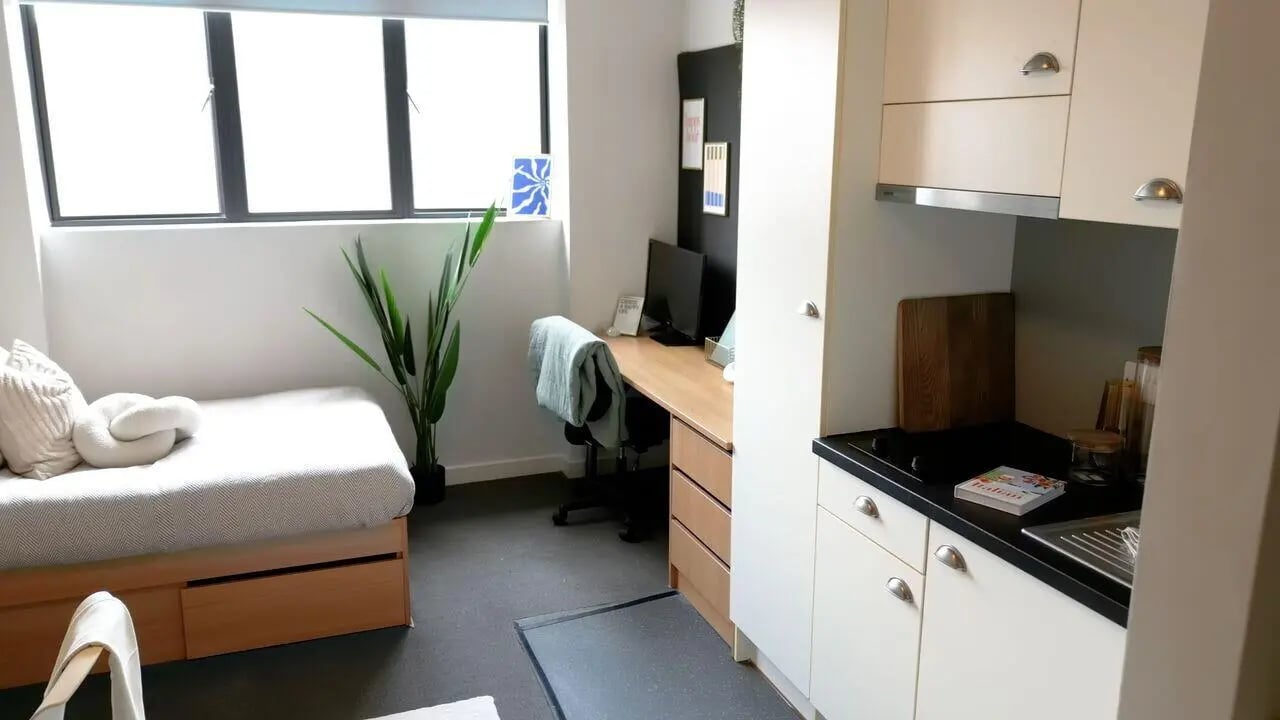 Bed desk plant and compact kitchen studio apartment at Algernon Firth in Leeds Student Accommodation