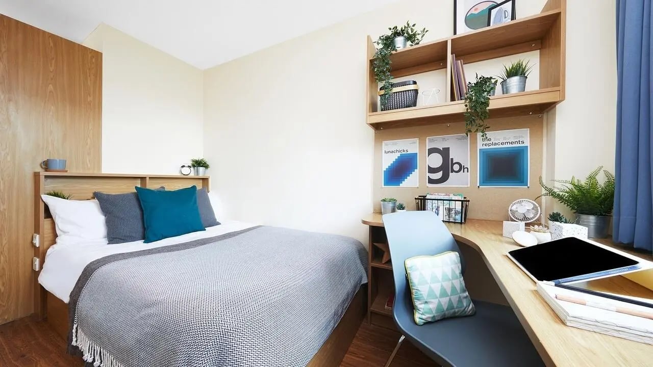 Bed desk shelves plants and posters bedroom at Collegiate Athena Hall in Ipswich Student Accommodation