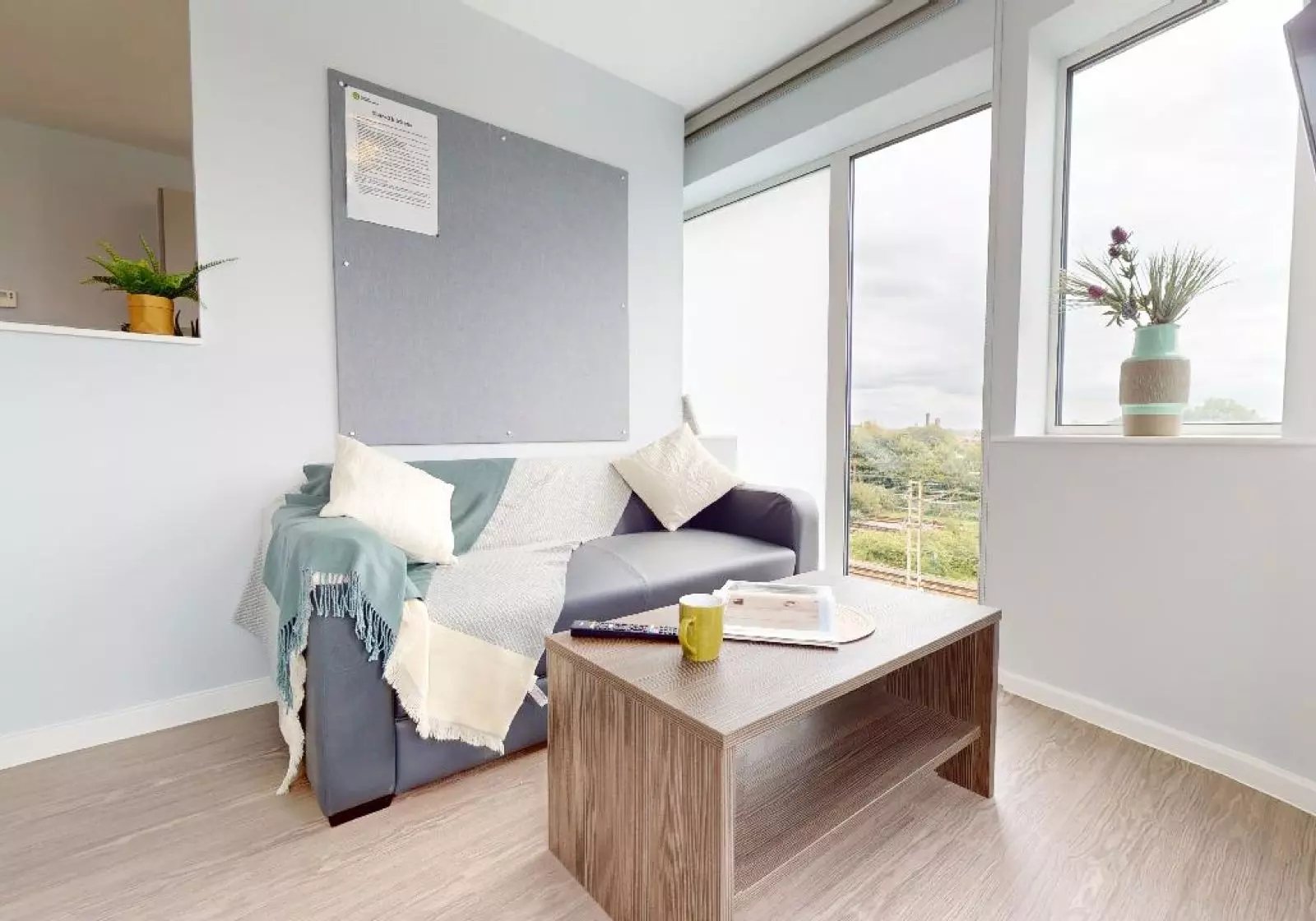 Sofa coffee table and plant living room at iQ Highbury in London Student Accommodation