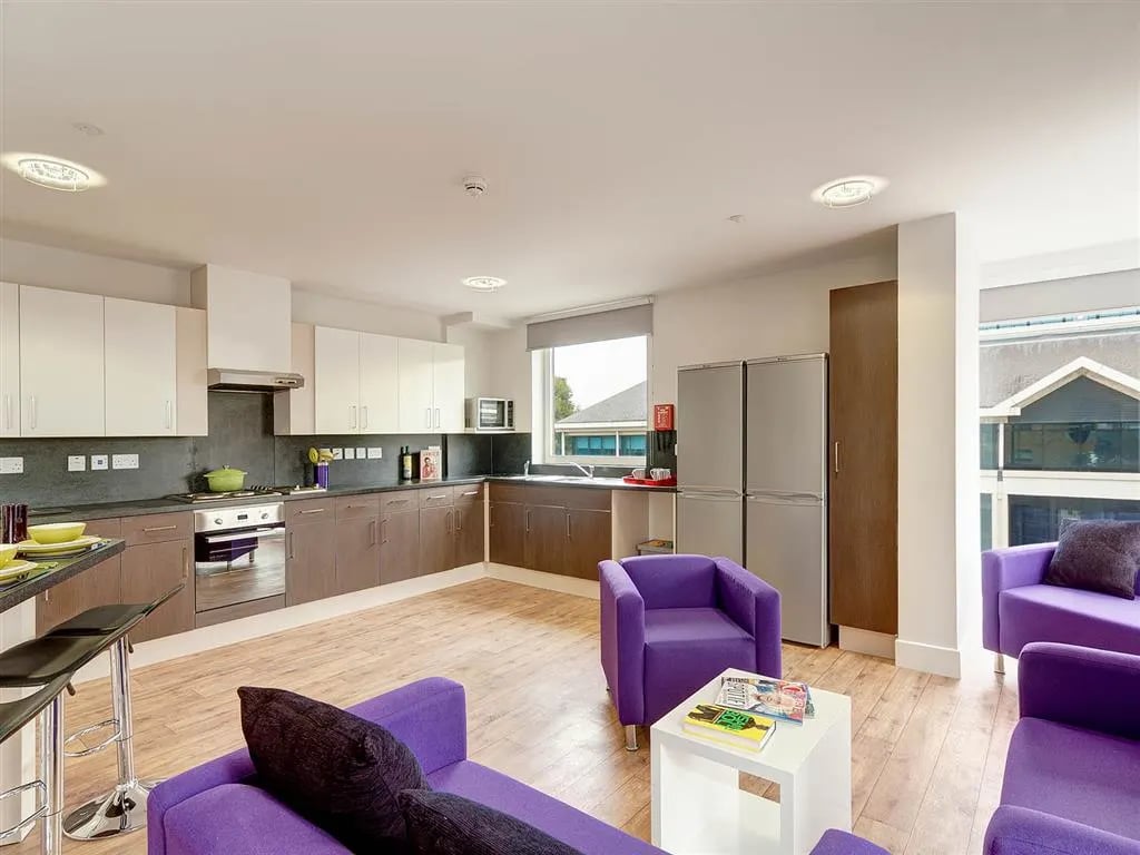 Kitchen and living area with purple furniture kitchen living room at Davidson House in Kingston Upon Thames Student Accommodation