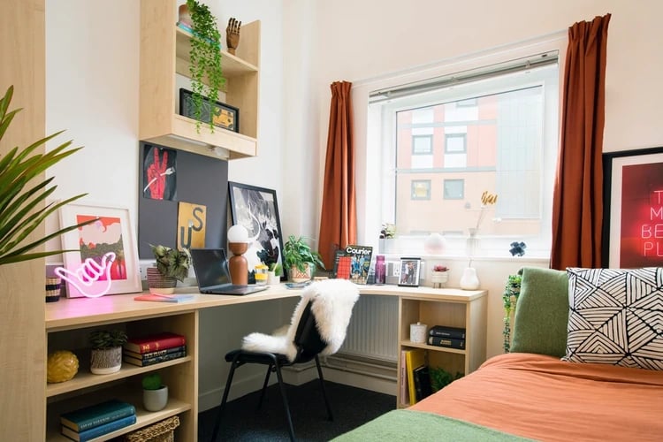 Desk laptop plants shelf and bed bedroom at Mary Sturge in Birmingham Student Accommodation