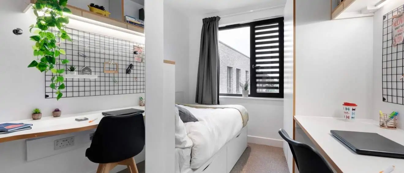Desk plants laptop bed and window bedroom at 27 Magdalen Street in Colchester Student Accommodation