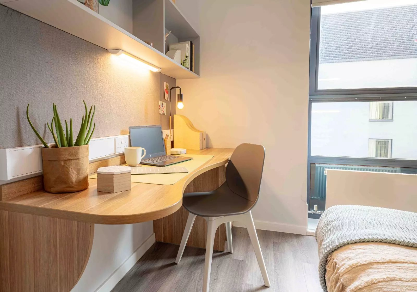 Desk with laptop plant and chair bedroom at iQ Sterling Court in London Student Accommodation