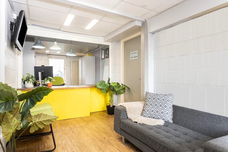 Reception desk sofa and plants common area at Spring Gardens in Aberdeen Student Accommodation