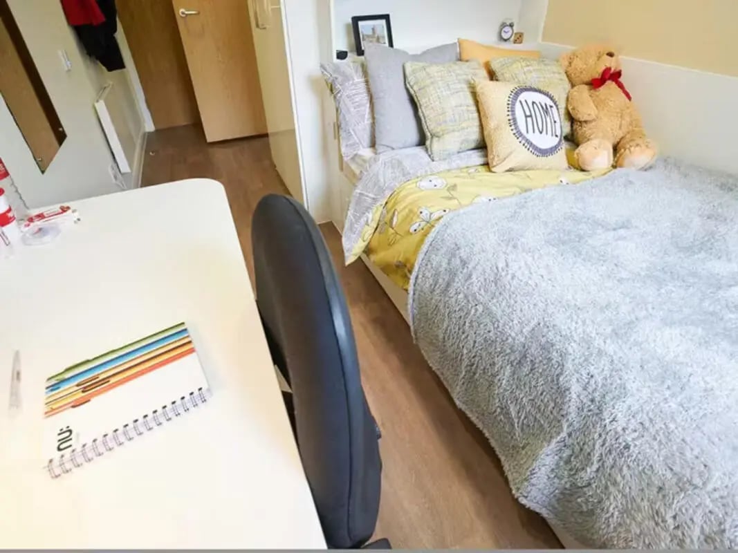 Bed desk chair and teddy bear bedroom at Llys Y Deon in Bangor Student Accommodation