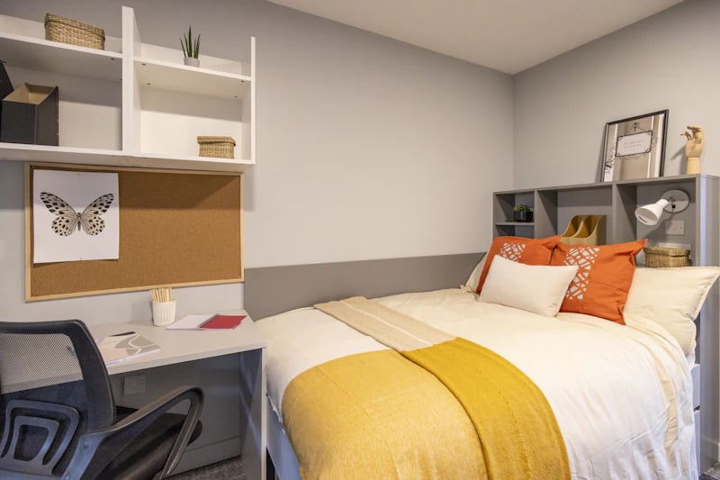 Desk bed shelves and butterfly art Bedroom at Ash Grove Court - Guildford in Guildford Student Accommodation