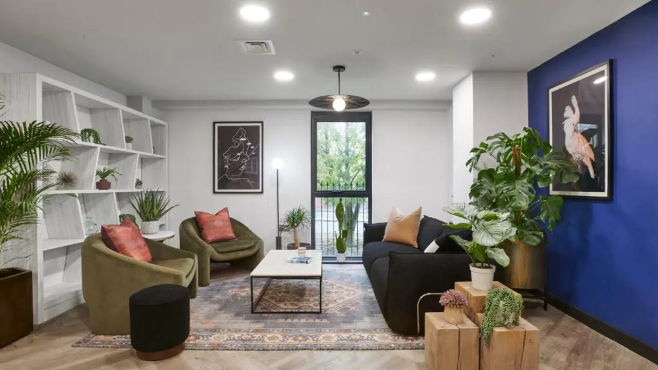 Sofa chairs coffee table shelves plants art living room at Sky Blue Point in Coventry Student Accommodation