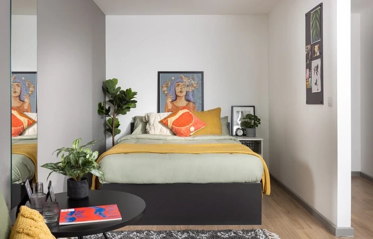 Bed artwork plants and a mirror bedroom at White Rose View in Leeds Student Accommodation