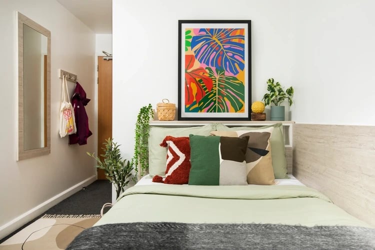 Bed pillows artwork plants framed painting bedroom at Cambrian Point in Cardiff Student Accommodation