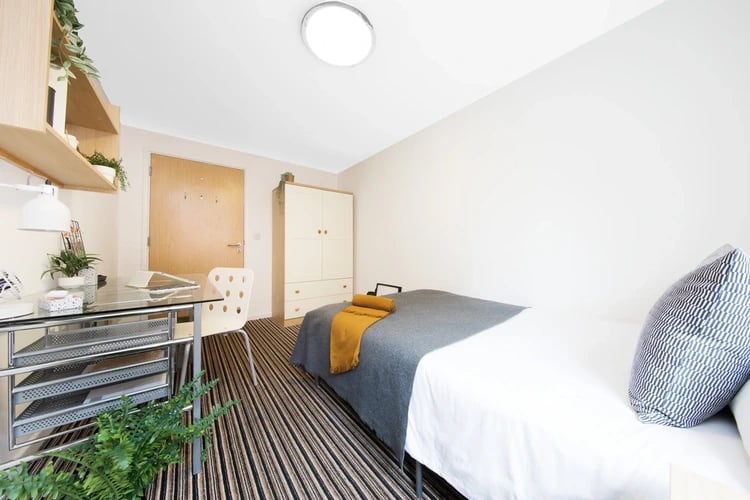 Bed desk wardrobe and plants bedroom at Grange Lane Apartments in Leicester Student Accommodation