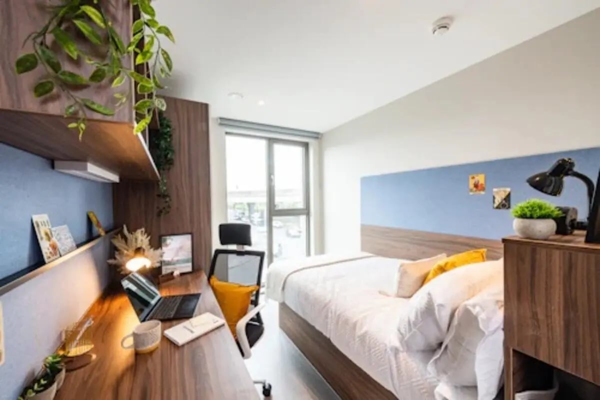 Desk bed plants and lamp bedroom at Nelson Place in Belfast Student Accommodation