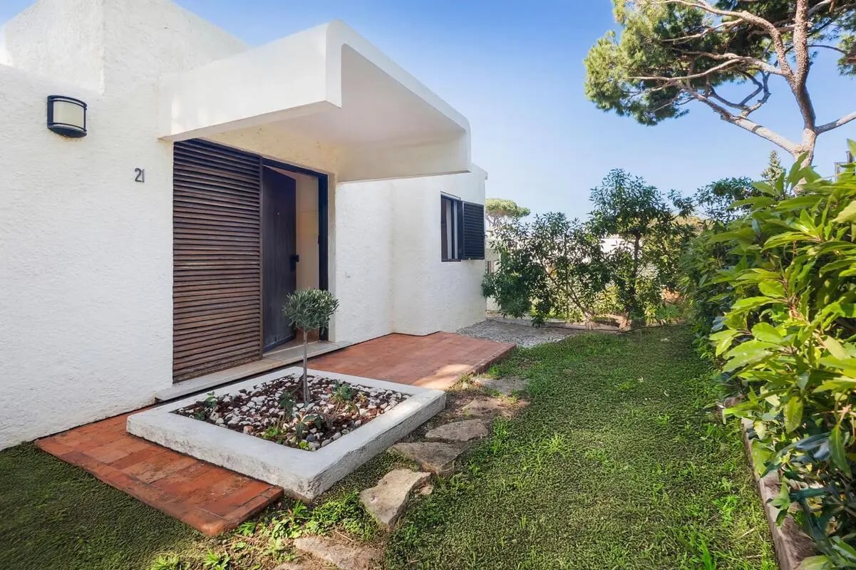 White building entryway with small olive tree exterior at Captivating 3 Bedroom House close to Vilamoura Golf Course in Vilamoura Student Accommodation
