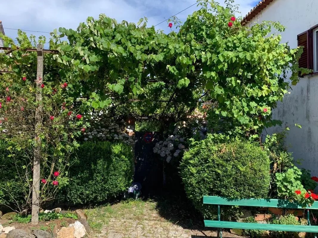 Green bench surrounded by lush greenery exterior at Comfy and cosy house in Castanheira, Leiria in Leiria Student Accommodation