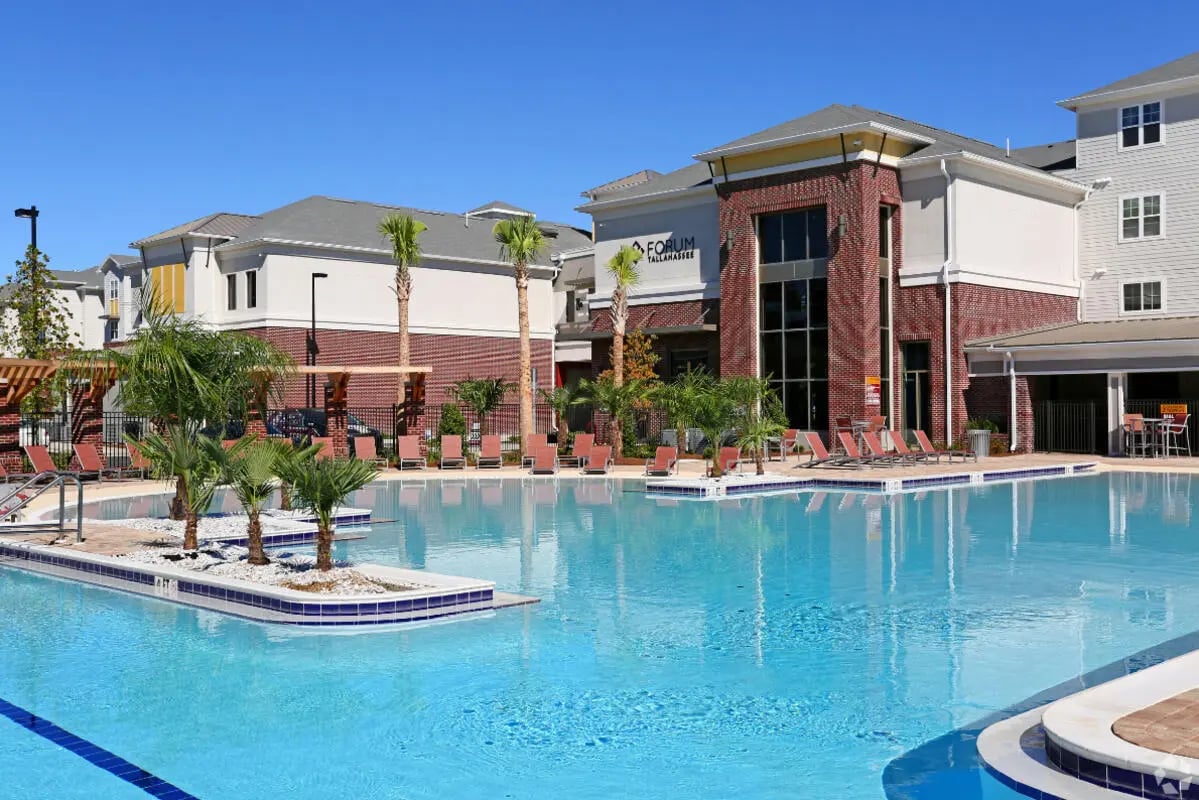 Swimming pool with lounge chairs and palm trees exterior at Forum at Tallahassee in Tallahassee Student Accommodation