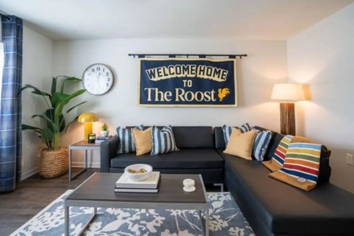 Sofa coffee table rug clock wall banner Living room at The Roost in Columbia Student Accommodation