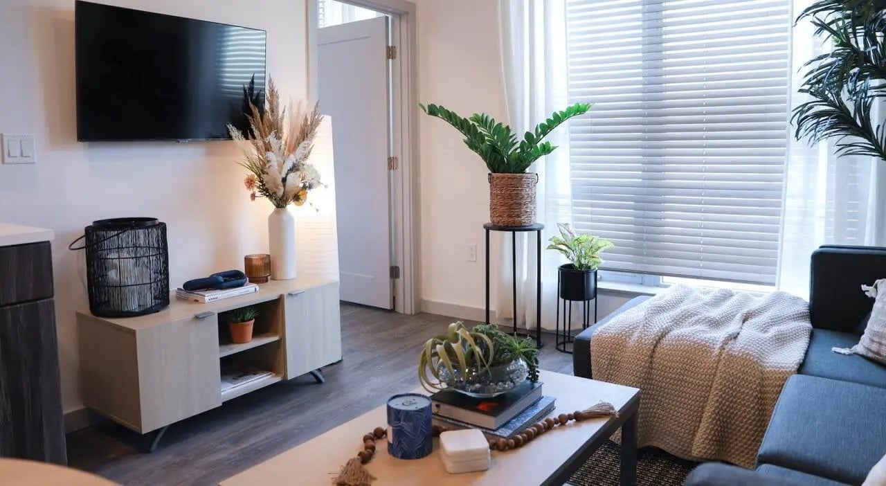 Television cabinet plants and sofa living room at Legacy202 Apartments in Champaign Student Accommodation