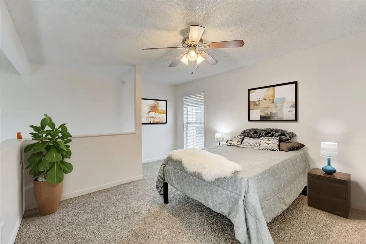 Bed artwork plant and ceiling fan bedroom at Starlite Apartments in Denton Student Accommodation