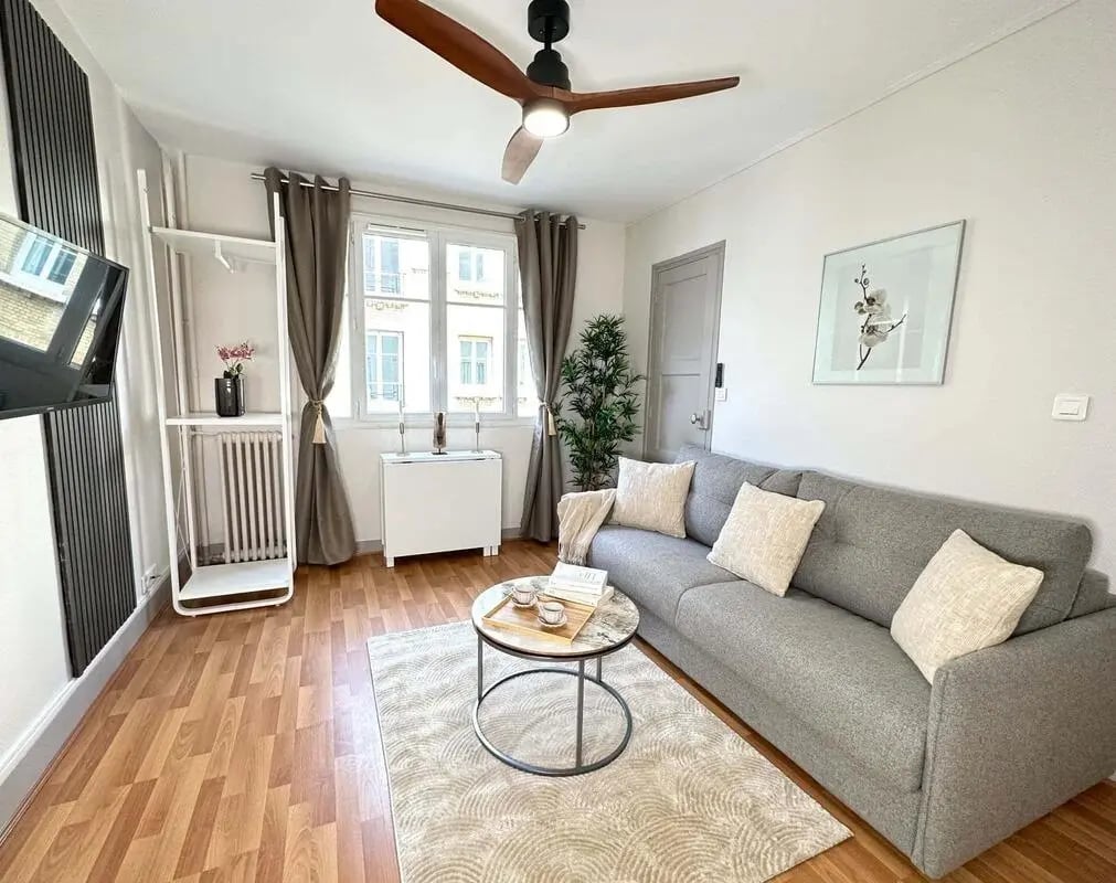 Grey sofa, coffee table, rug, plant living room at Studio in 44 Rue Duranton, 75015 Paris, France in Paris Student Accommodation