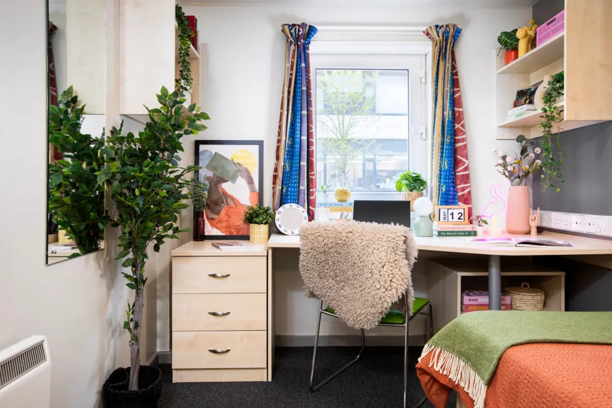 Desk with faux plant artwork chair and bed. Bedroom. at Newarke Point in Leicester Student Accommodation