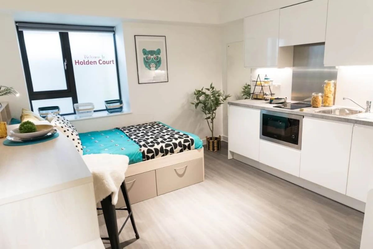 Bed kitchen microwave plant and sink area at Holden Court in Brighton Student Accommodation