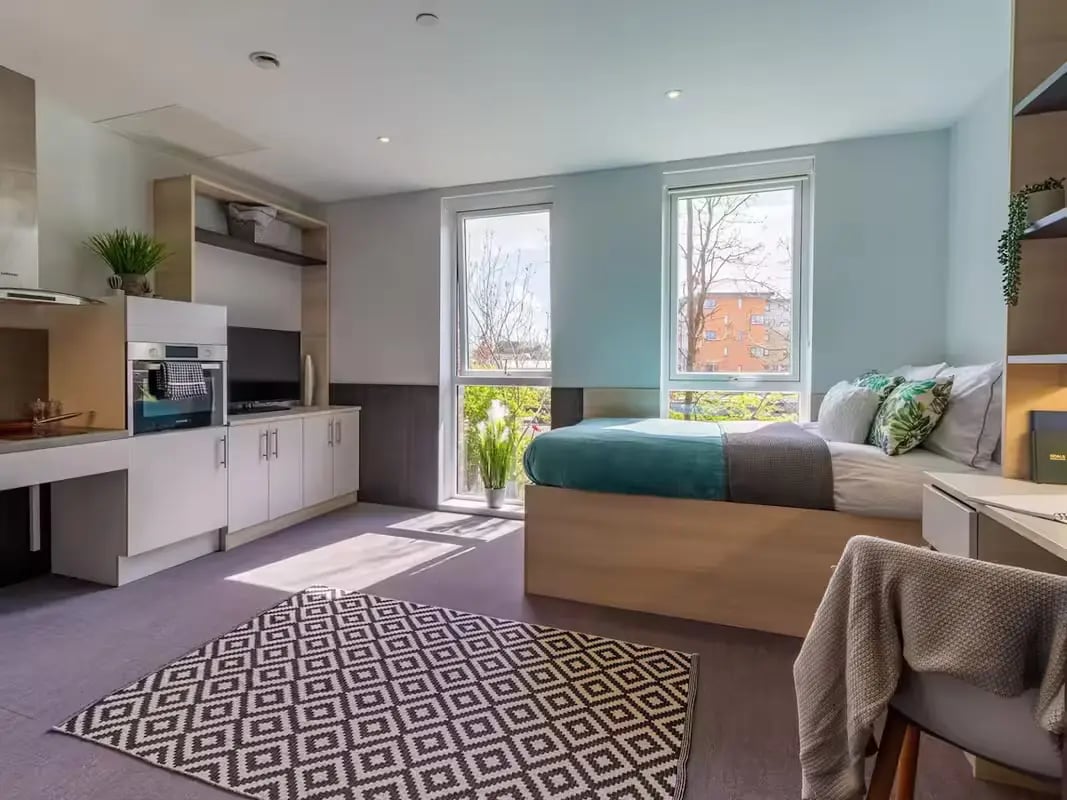 Kitchen bed area rug and desk studio apartment at Hythe Mills in Colchester Student Accommodation