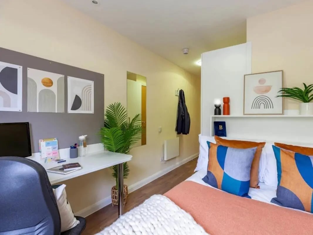 Desk plant artwork pillows bed bedroom at Llys Y Deon in Bangor Student Accommodation