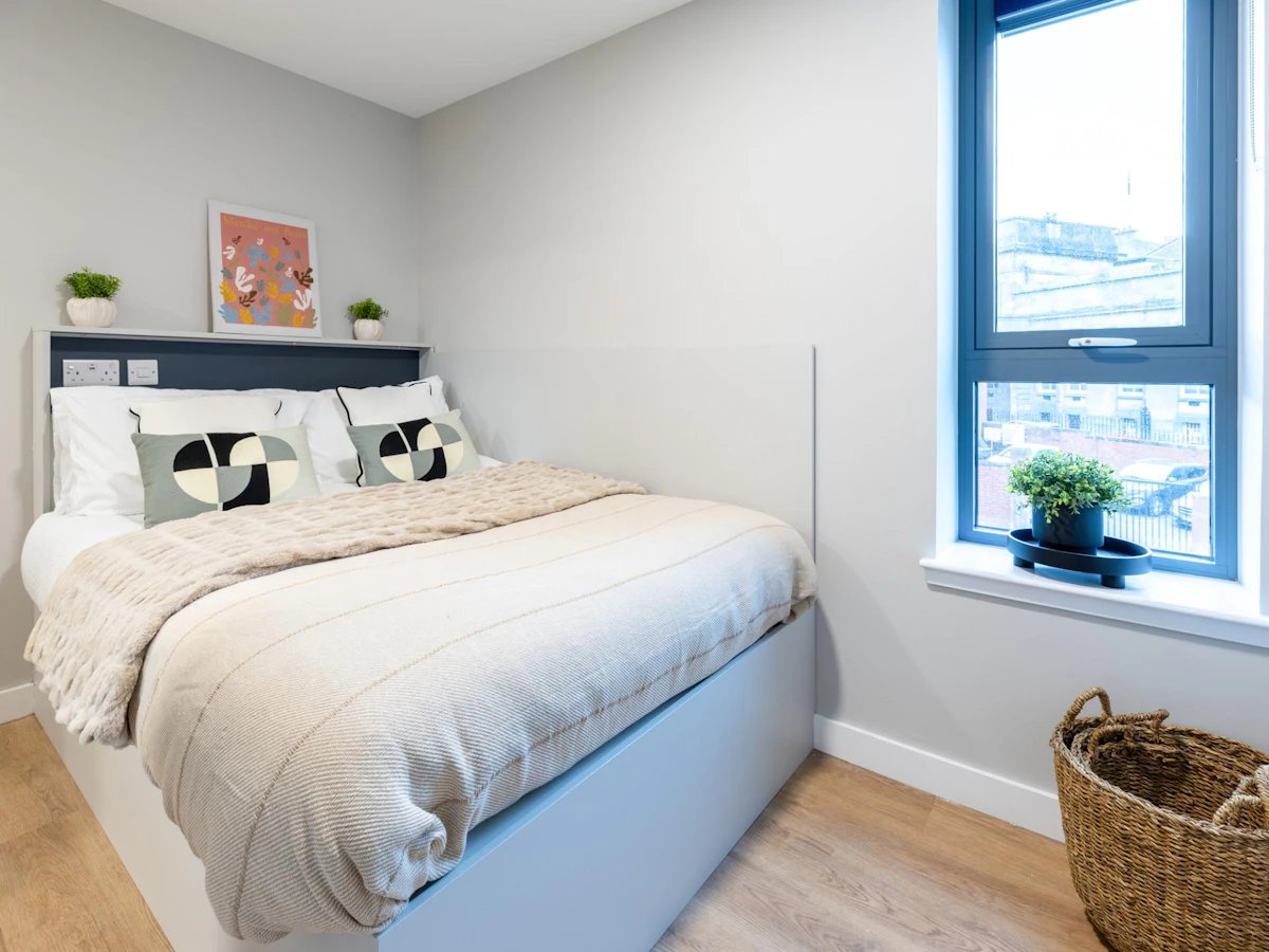 Bed with cushions blanket picture plants and window bedroom at Clyde Court in Glasgow Student Accommodation