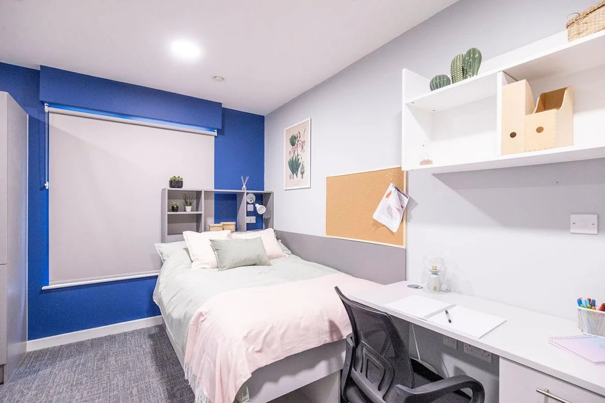 Bed desk plants and shelves bedroom at Ash Grove Court - Guildford in Guildford Student Accommodation