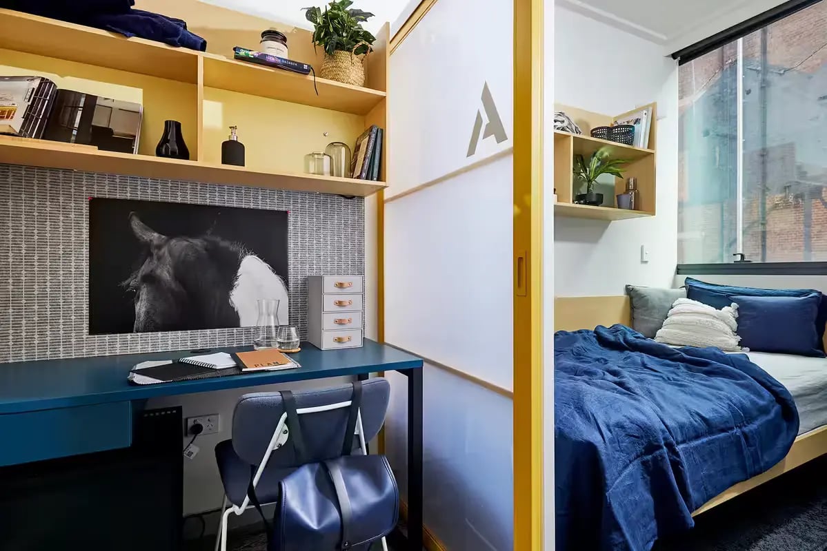 Desk bed shelves and horse artwork bedroom study area at Scape Darling House in Sydney Student Accommodation