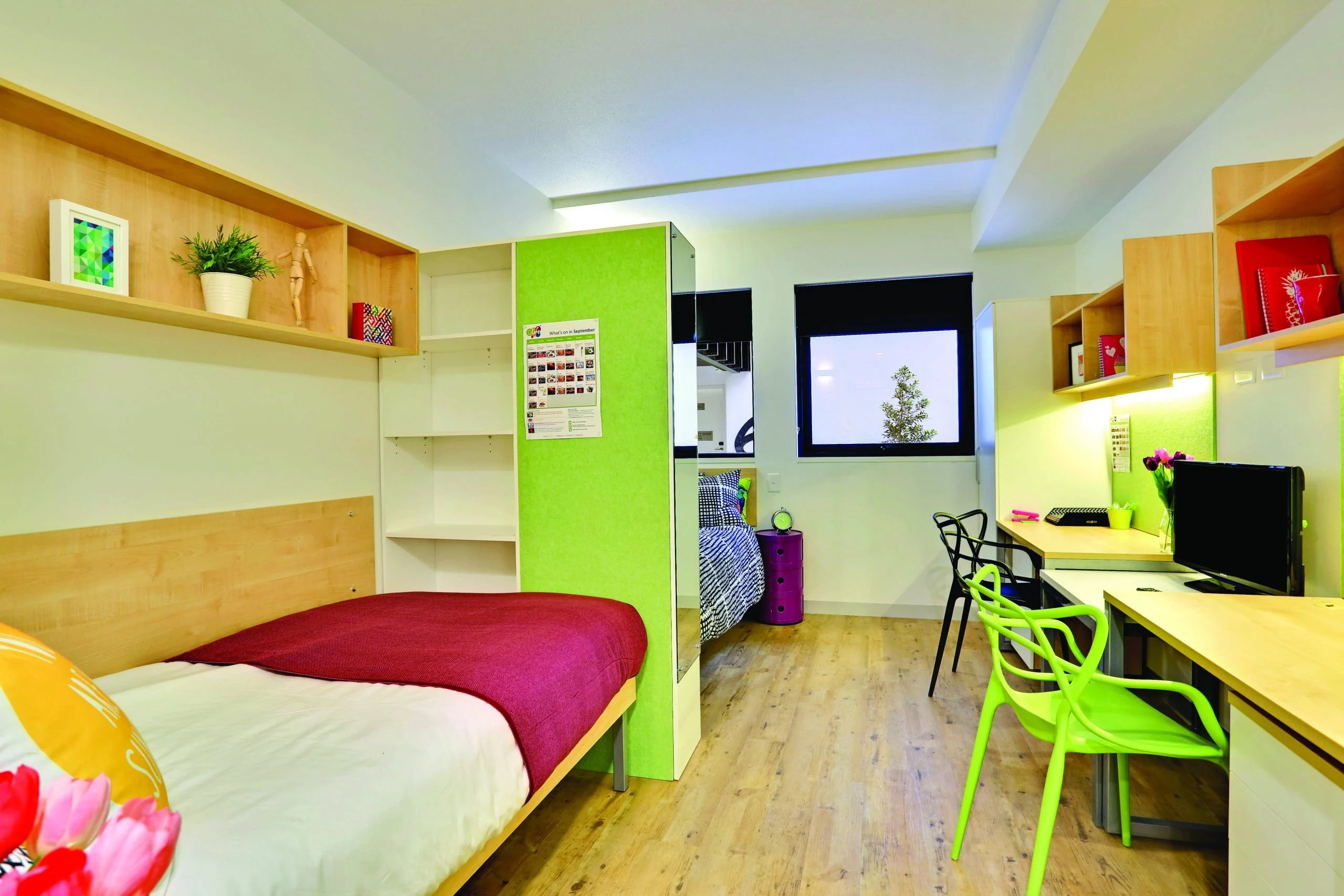 Bed desk shelves plant and picture Bedroom at Scape Sydney Central in Sydney Student Accommodation