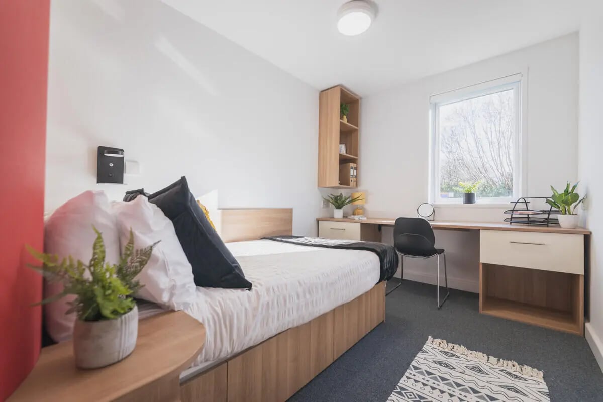 Bed desk chair and plants student bedroom at The Park in Oxford Student Accommodation
