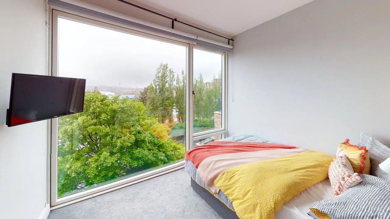 Bed with TV and large window bedroom at Picton Manor in Newcastle Upon Tyne Student Accommodation