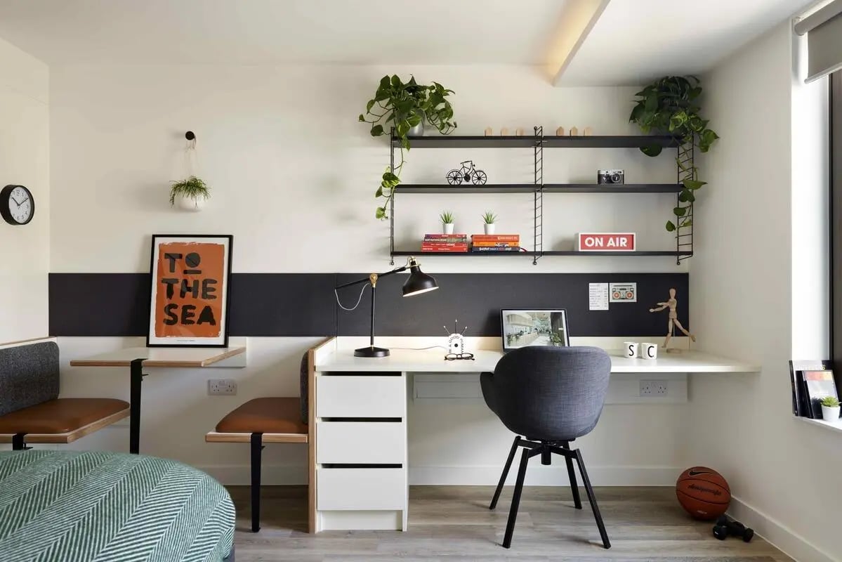 Desk chair plants artwork and basketball study area at Student Castle Brighton in Brighton Student Accommodation