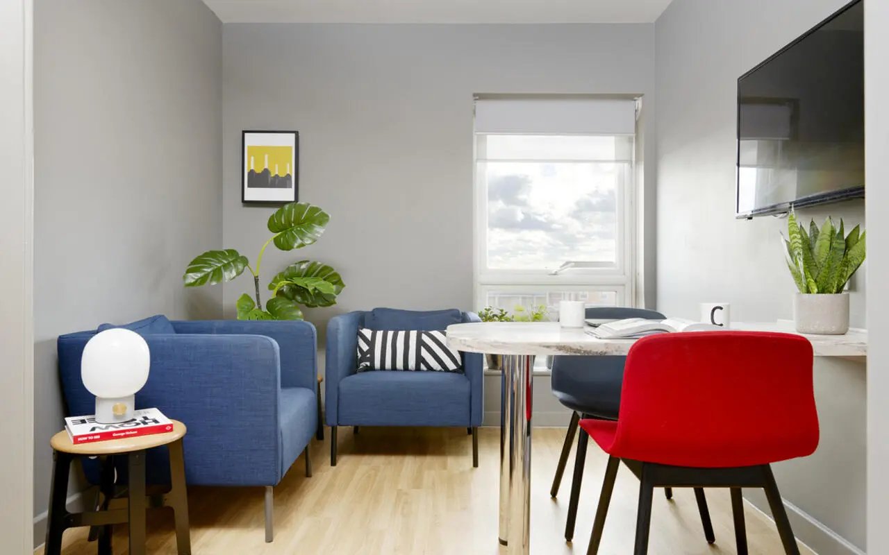 Two blue chairs plant table window television living room at Student Castle Lincoln in Lincoln Student Accommodation