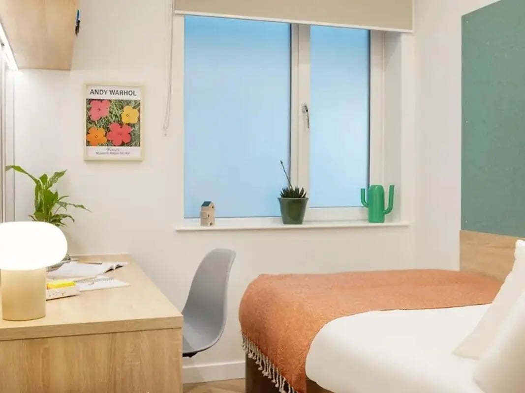 Desk lamp plant Warhol print orange blanket bedroom at Yugo St. Crispin's House in Norwich Student Accommodation