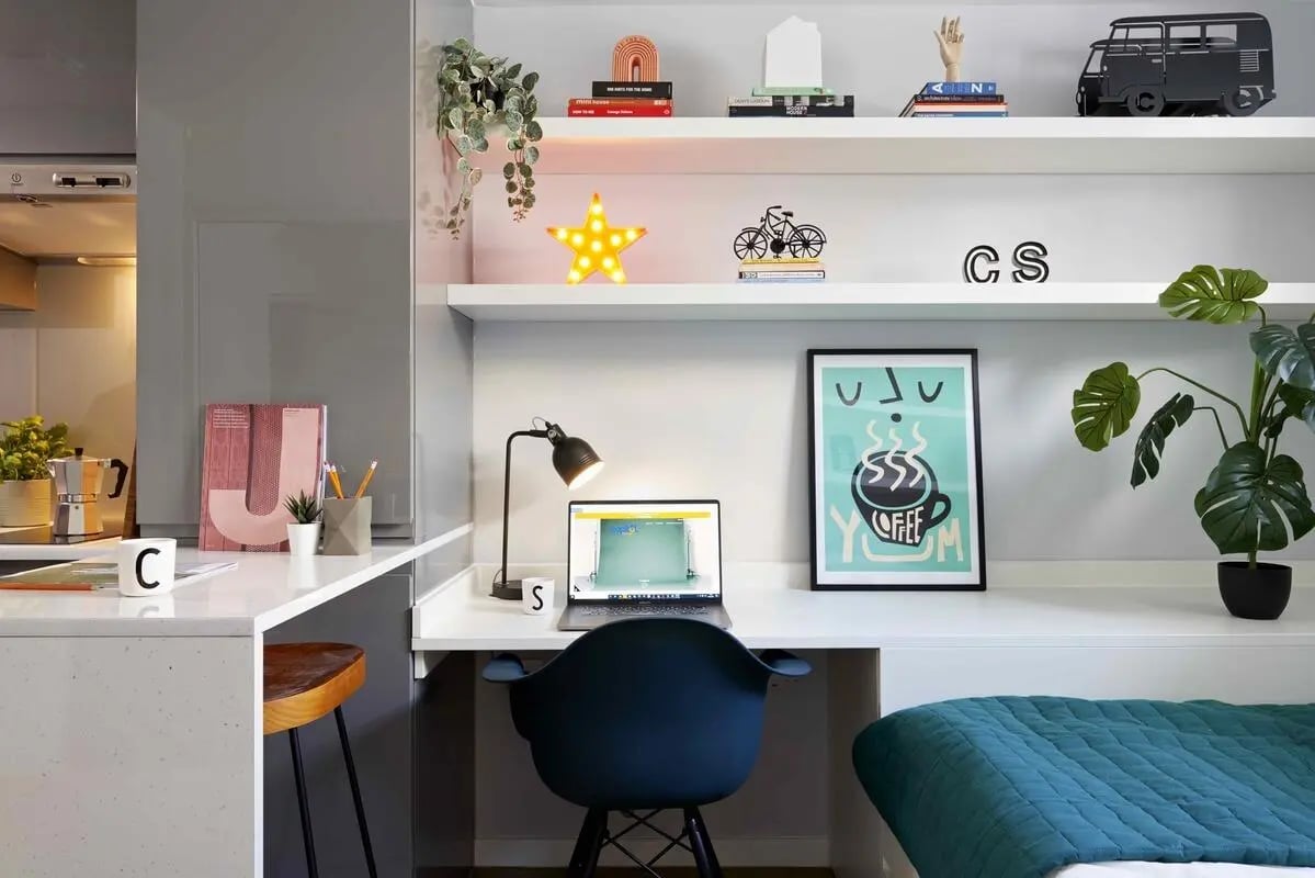 Desk plants laptop art and shelves bedroom at St Teresa House in Plymouth Student Accommodation