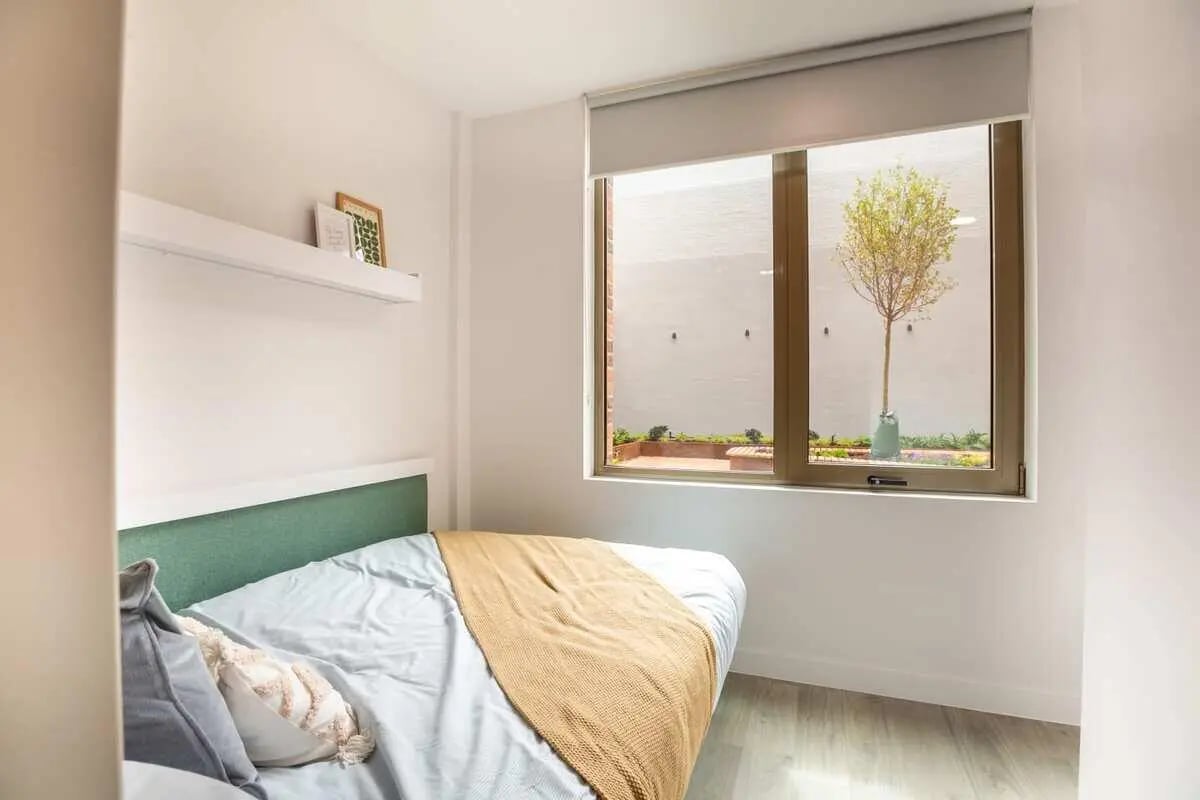 Bed pillows shelf and window view bedroom at Promenade Student Living in Brighton Student Accommodation