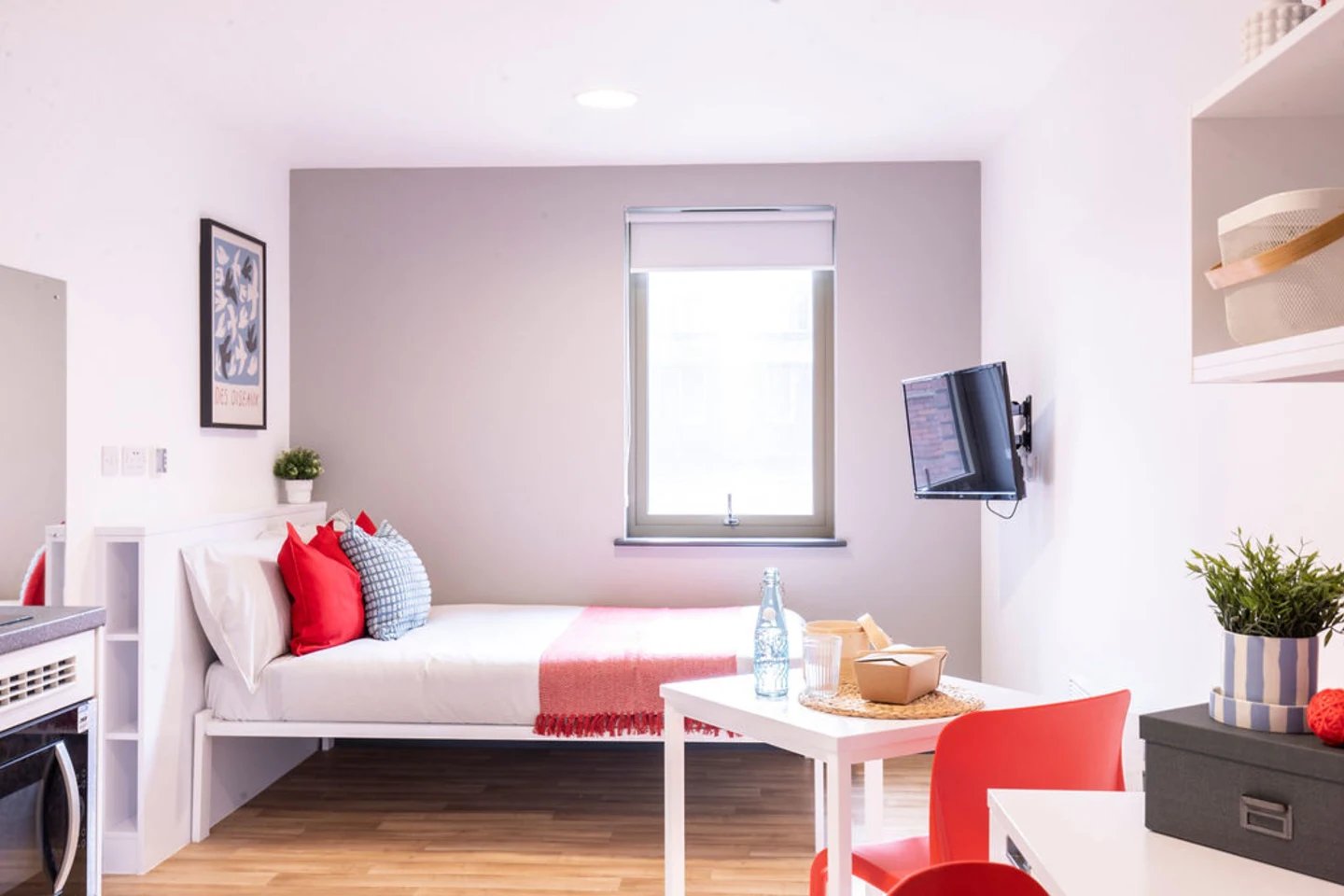Bed with red pillows table TV and plant bedroom at Bailey Street in Sheffield Student Accommodation
