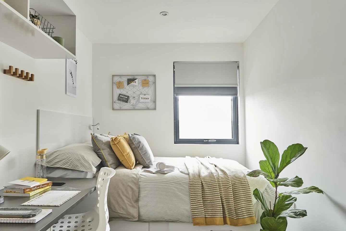 Bed desk and plant bedroom at The City Arcade - Exeter in Exeter Student Accommodation