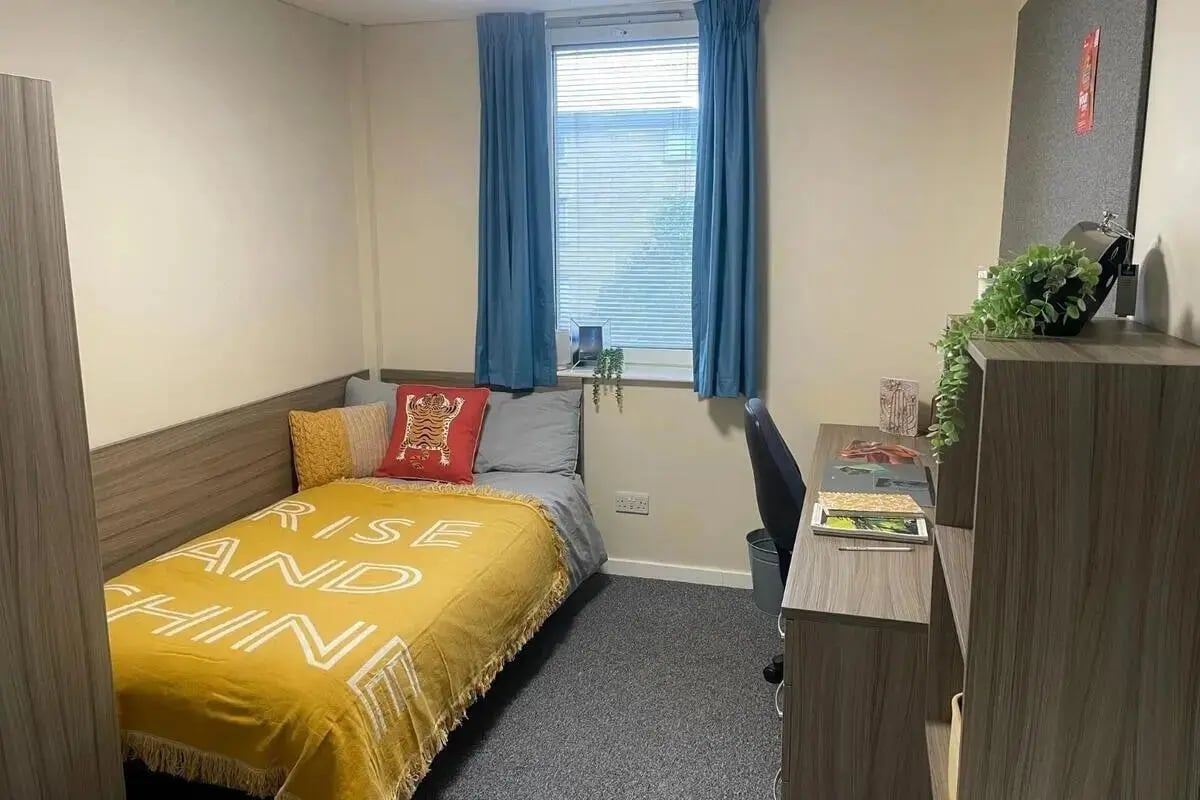 Bed desk pillow plant and window bedroom at Dinwiddy House in London Student Accommodation