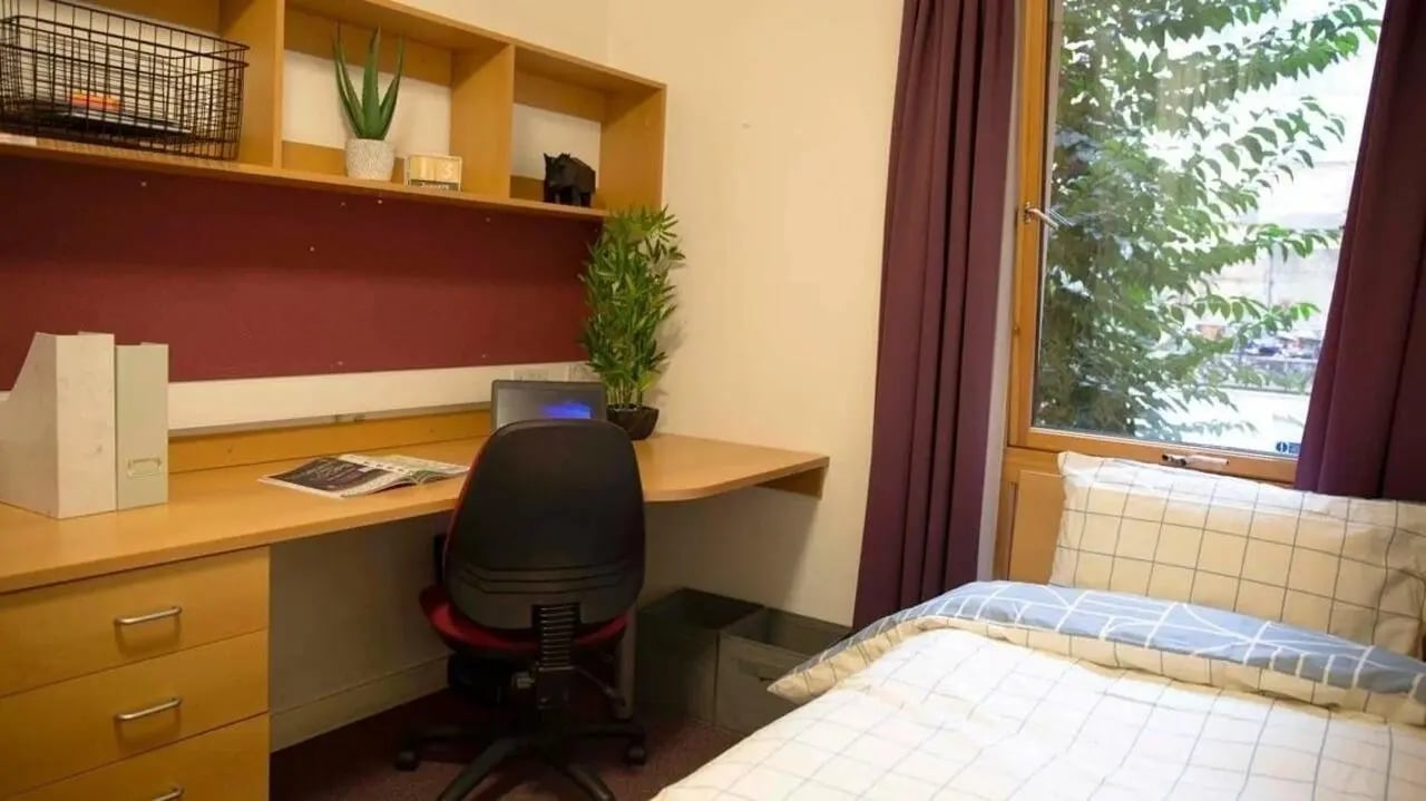 Desk bed plants and window bedroom at Lilian Knowles House in London Student Accommodation