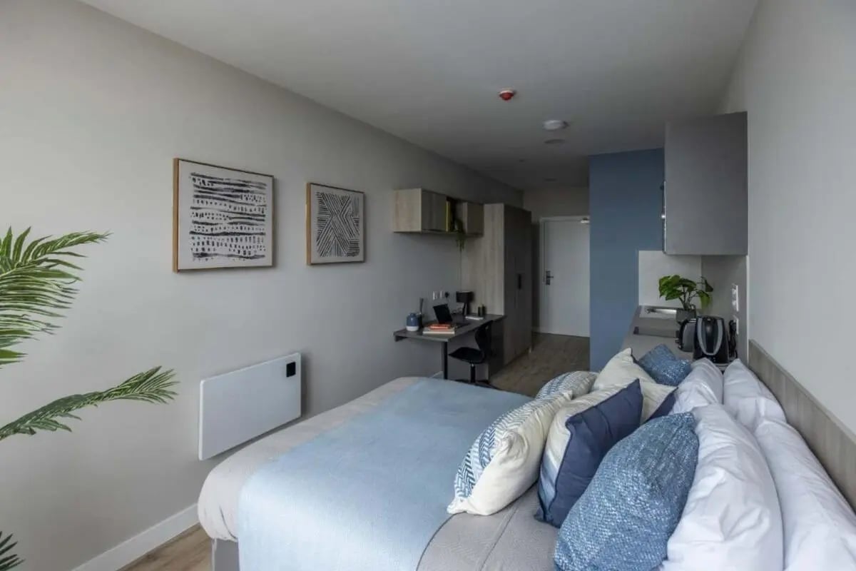 Bed desk art plant and kitchen area bedroom at Boutique Student Living Swansea in Swansea Student Accommodation