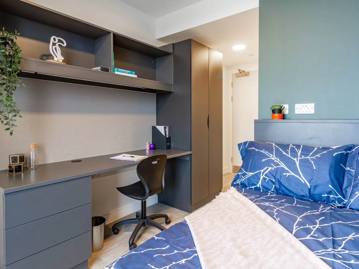 Desk chair shelves plant and bed bedroom at Benedict's Gate in Norwich Student Accommodation