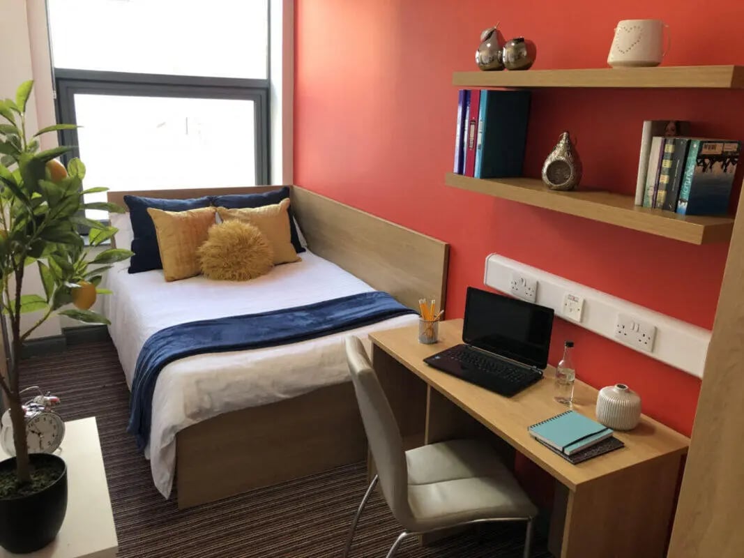 Bed desk plant and pillows student room at Norflok Street in Sunderland Student Accommodation
