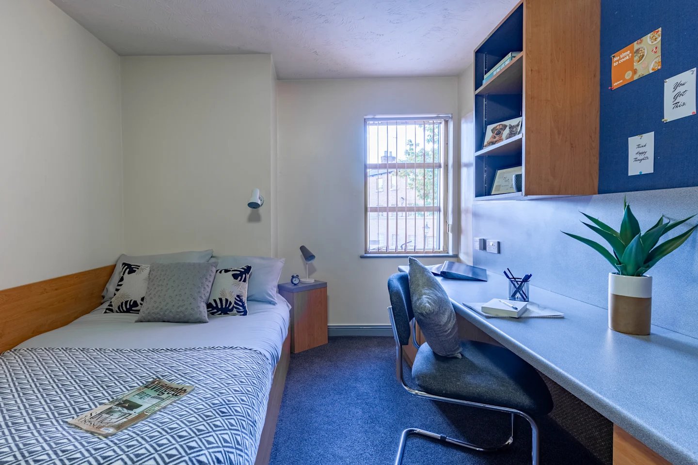 Bed desk with chair and plant bedroom study area at Truro Sheffield in Sheffield Student Accommodation